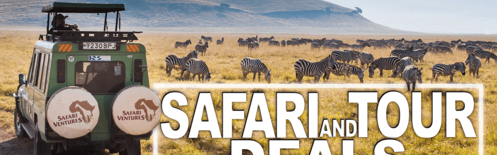 African Travel Review: Inside the Best Safaris and Wildlife Encounters Across the Continent