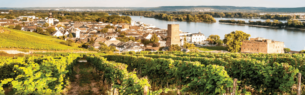 All-Inclusive Luxury on Europe`s Waterways: Discover the Unique Itineraries of Tauck River Cruises