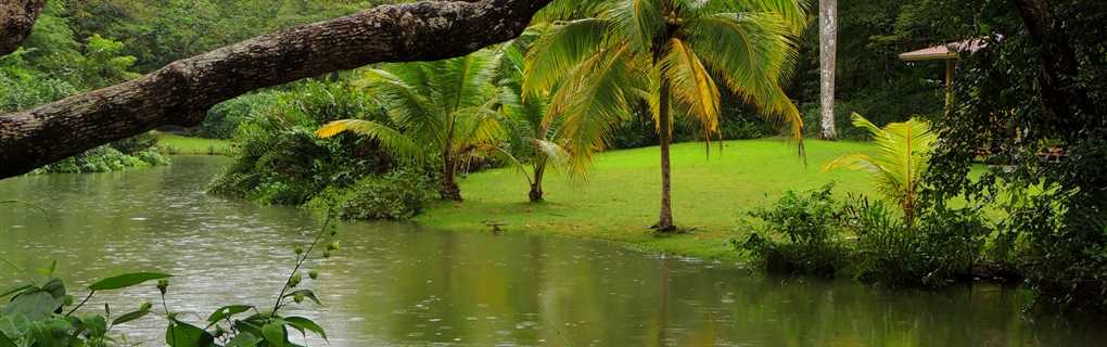 An Honest Review: How United Vacations Meets Expectations for Complex Travel Arrangements