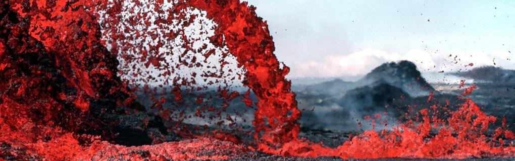 Best Hawaii Zipline Adventures: Compare All Islands