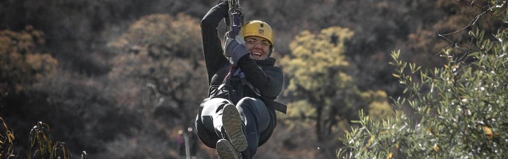 Best Hawaii Zipline Adventures: Compare All Islands