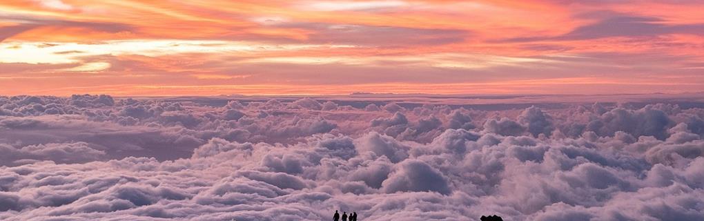 Best Hawaii Zipline Adventures: Compare All Islands