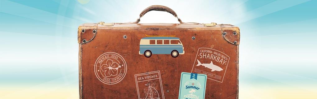 Best Hawaii Zipline Adventures: Compare All Islands