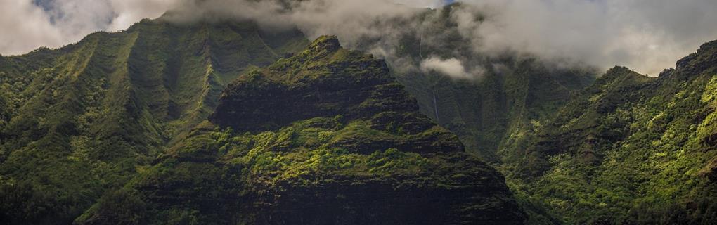 Best Hawaii Zipline Adventures: Compare All Islands