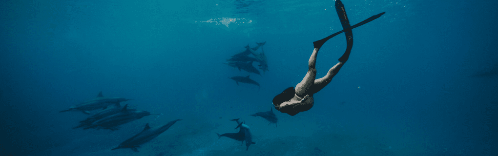 Best Time to Visit Hawaii: Seasonal Guide for Perfect Weather