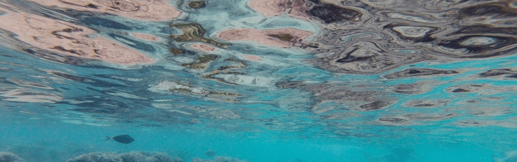 Best Time to Visit Hawaii: Seasonal Guide for Perfect Weather