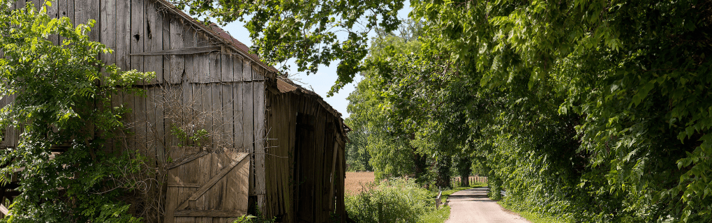 Choosing the Perfect Backroads Tour: A Guide to Active Travel for All Fitness Levels