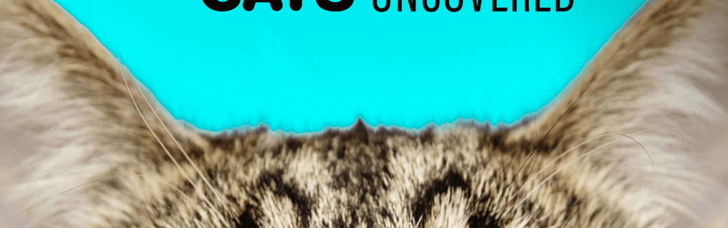 Destinations Uncovered: A Guide to Funjet Vacations` Most Popular Caribbean Getaways