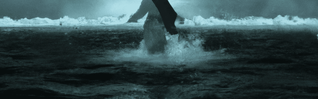 Discover Rome and Venice through Flavor: A Delicious Journey with Walks of Italy`s Expert-Led Food Tours