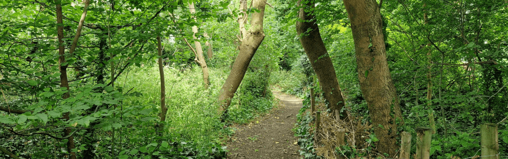 Discover Rome and Venice through Flavor: A Delicious Journey with Walks of Italy`s Expert-Led Food Tours