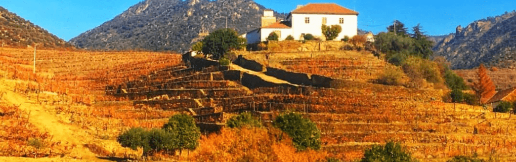 Discover the Charm of European Riverways: A Comprehensive Guide to Viking River Cruises` Itineraries