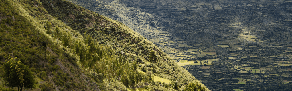 Discover the Luxury of Peru: A Guide to Belmond Andean Explorer Train`s Scenic Routes and Destinations