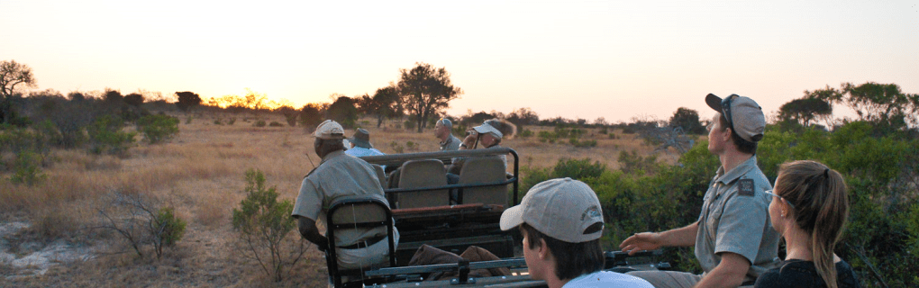 Discover the Magic of Africa`s Most Unique Safaris with African Travel