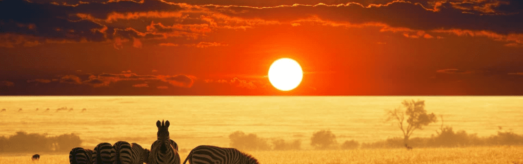 Discover the Magic of Africa`s Most Unique Safaris with African Travel