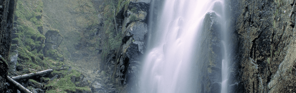 Discover the Magic of Alaska: An Insider`s Guide to Holland America`s Breathtaking Cruises to the Last Frontier