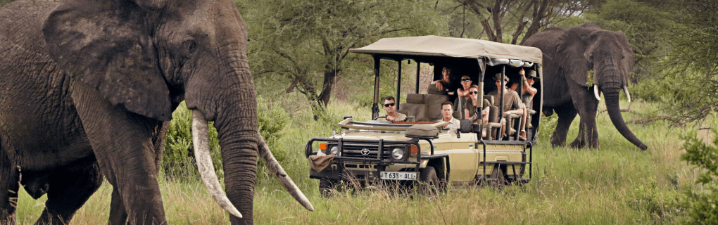 Discover the Magic of Tanzania`s Nyerere National Park with African Travel: A Guide to Unique Safaris and Wildlife Encounters