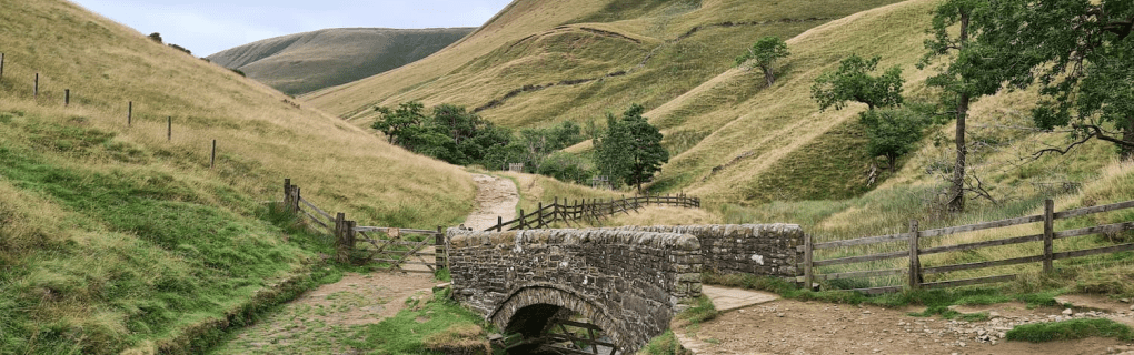 Discovering Rome`s Flavors: Why Walks of Italy`s Food Tours are a Must for Every Foodie Traveler