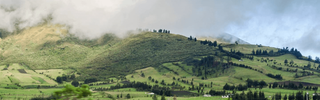 Exclusive Access to Iconic Landmarks: How TCS World Travel`s Private Jet Journeys Redefine Luxury Travel