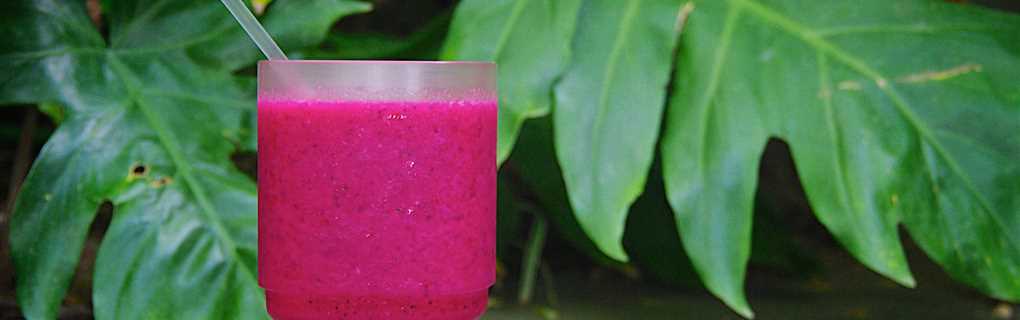 Exclusive Travel with Alexander + Roberts: Expert Insights into Private and Customized Tours