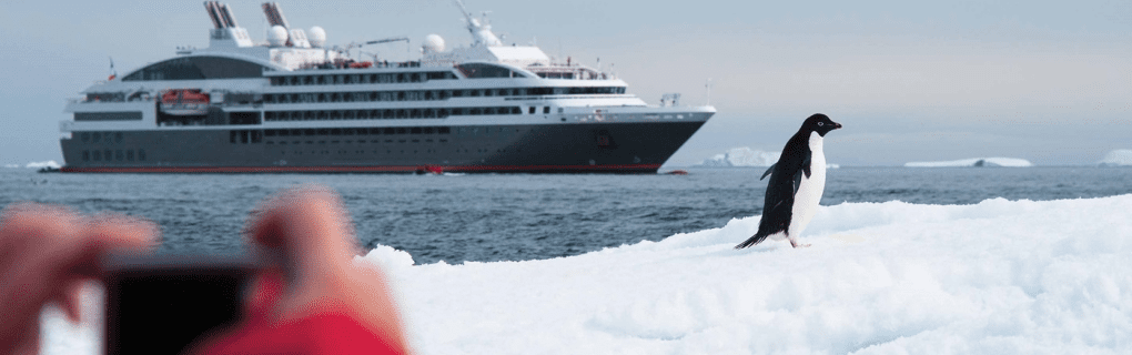 Explore the Remote and Refined: A Guide to PONANT`s Luxury Expedition Cruises to Antarctica and the Arctic