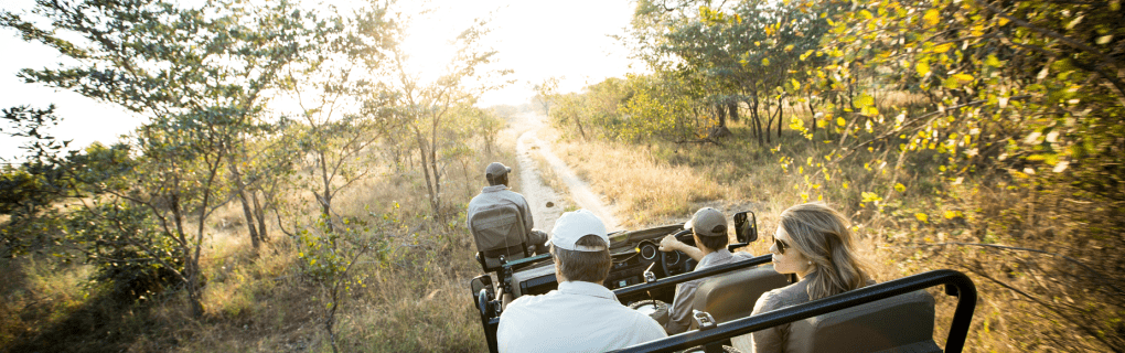 Exploring Africa in Style: A Guide to Swain Destinations` Luxury Safaris and Tours