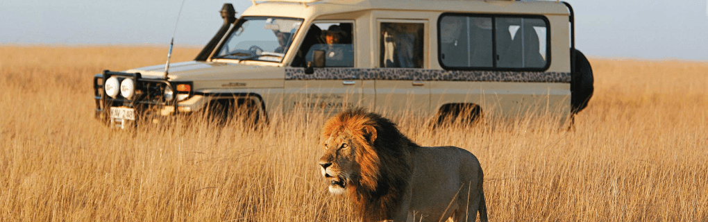 Exploring Africa in Style: The Ultimate Luxury Safaris with Micato Safaris