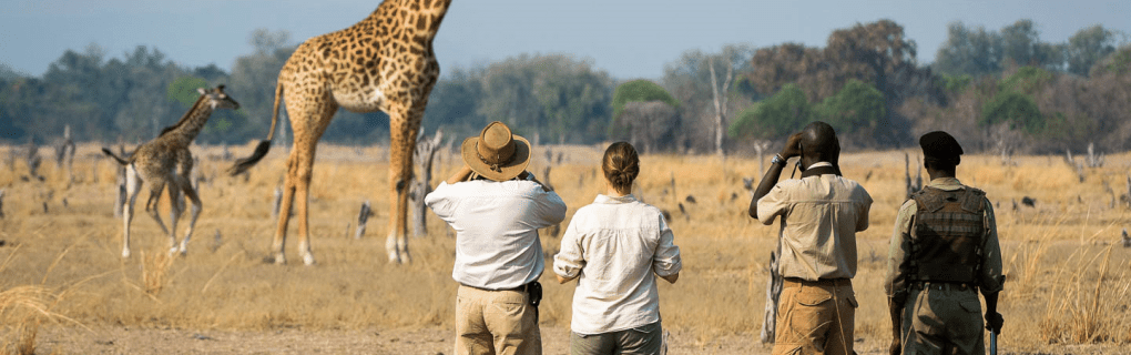 Exploring Africa`s Hidden Gems: Why African Travel`s Unique Safari Itineraries Stand Out