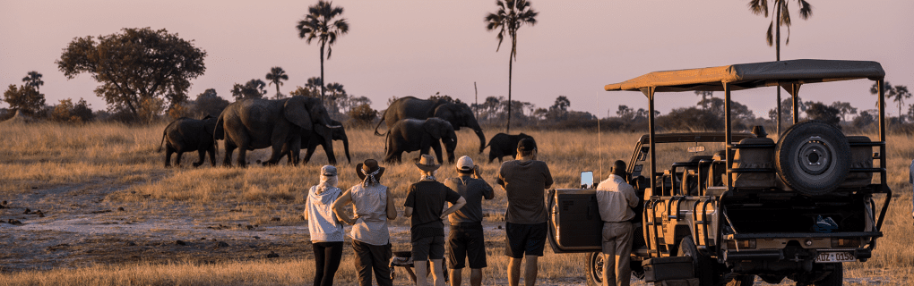 Exploring Africa`s Hidden Gems: Why African Travel`s Unique Safari Itineraries Stand Out