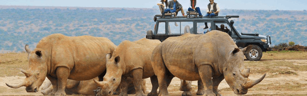 Exploring Africa`s Hidden Gems: Why African Travel`s Unique Safari Itineraries Stand Out