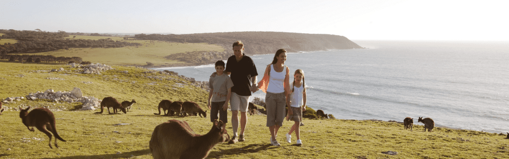 Exploring Australia with Swain Destinations: Customized Luxury Travel to Iconic Destinations