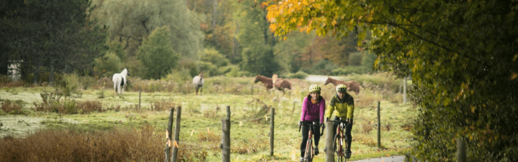 Exploring Europe`s Hidden Gems: Why VBT Bicycling Vacations Are the Best Way to Discover the Continent`s Scenic Countryside