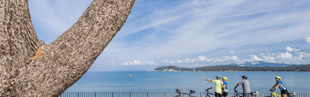 Exploring Europe`s Hidden Gems: Why VBT`s Bike Tours Are the Best Way to Discover the Continent`s Scenic Wonders