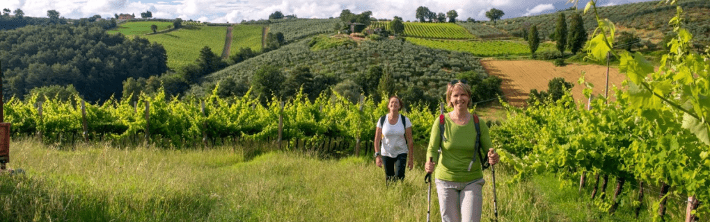 Exploring Europe`s Hidden Gems: Why VBT`s Bike Tours Are the Best Way to Discover the Continent`s Scenic Wonders