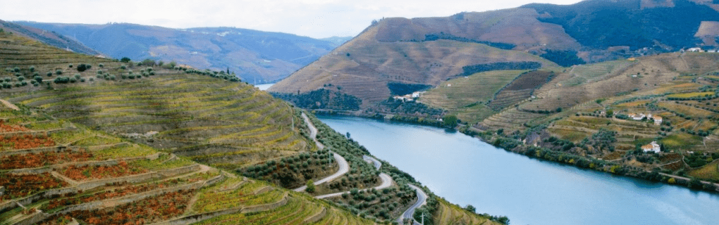 Exploring Europe`s Hidden Gems: Why VBT`s Bike Tours Stand Out for Scenic Cycling Vacations