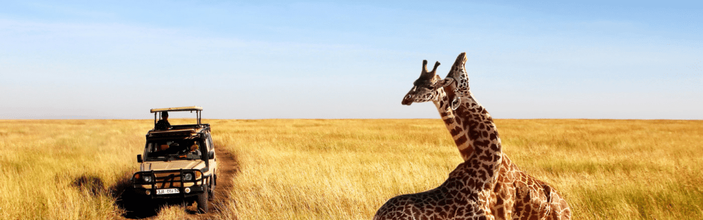 Exploring Hidden Gems: The Luxury of Private Custom Travel with TCS World Travel