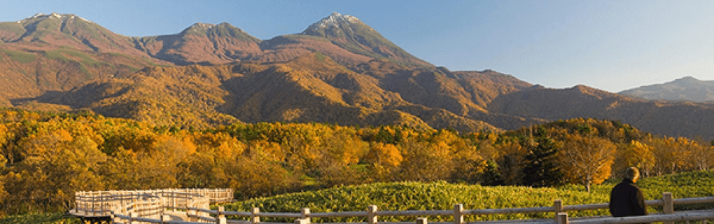 Exploring Japan with National Geographic Expeditions: A Journey Through Timeless Culture and Natural Beauty