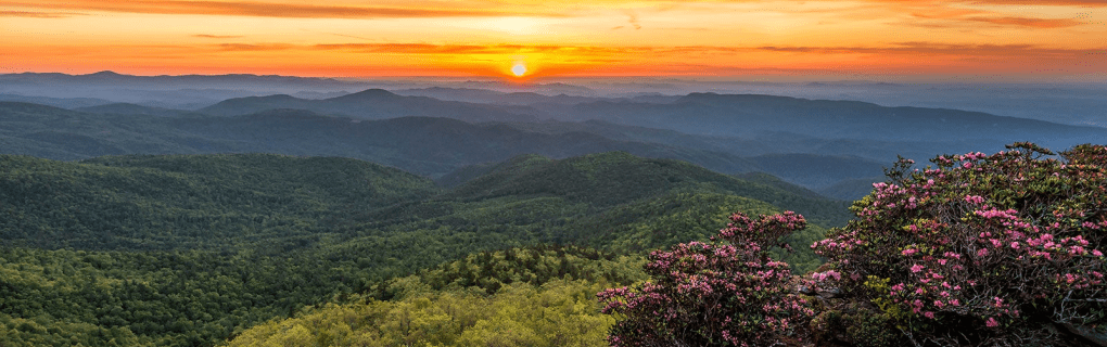 Exploring North America`s Hidden Gems: A Guide to Yankee Holidays` Top National Park Vacations