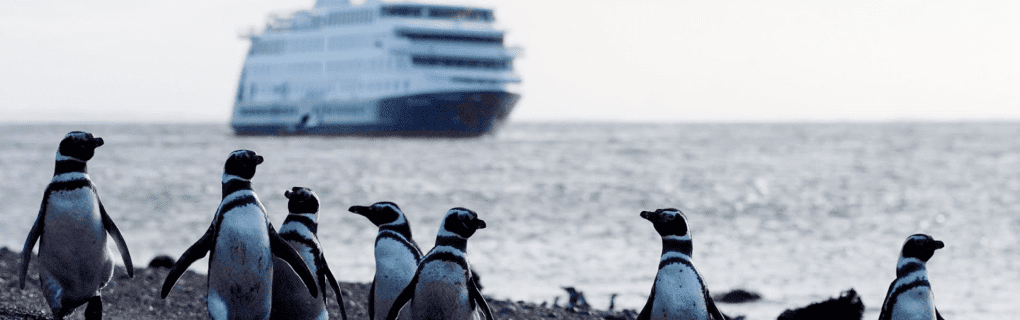 Exploring Patagonia`s Hidden Gems: A Deep Dive into Australis Cruises` Exclusive Itineraries