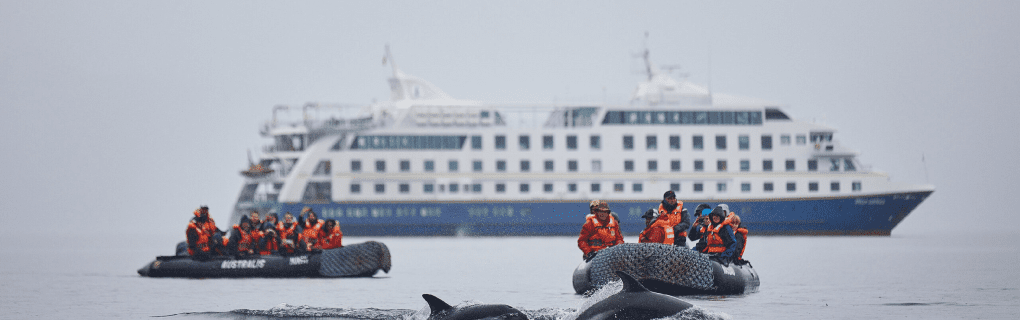 Exploring Patagonia`s Hidden Gems: A Guide to Australis Cruises` Breathtaking Itineraries