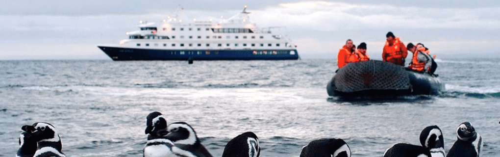 Exploring Patagonia`s Hidden Gems: Why Australis Cruises Stand Out in South America