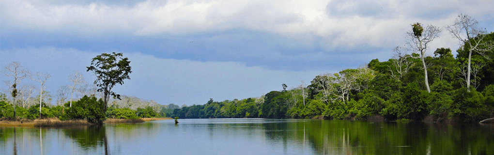 Exploring the Amazon in Luxury: A Guide to Aqua Expeditions` Peruvian Rainforest Cruises on Aqua Nera and Aria Amazon