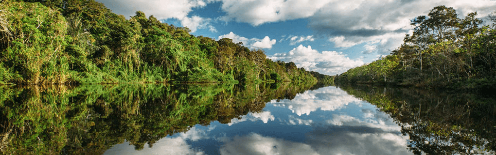 Exploring the Amazon in Luxury: An Insider`s Guide to Aqua Expeditions` Peruvian River Cruises