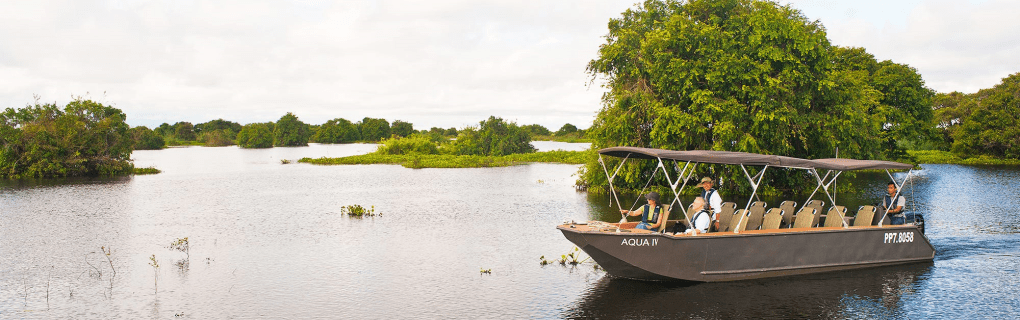 Exploring the Amazon in Luxury: An Insider`s Guide to Aqua Expeditions` Peruvian River Cruises