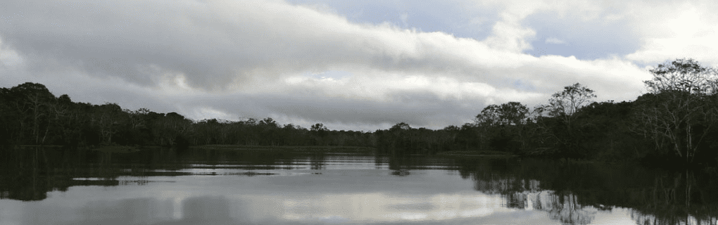 Exploring the Amazon in Style: A Luxury Journey with Aqua Expeditions` Aqua Nera