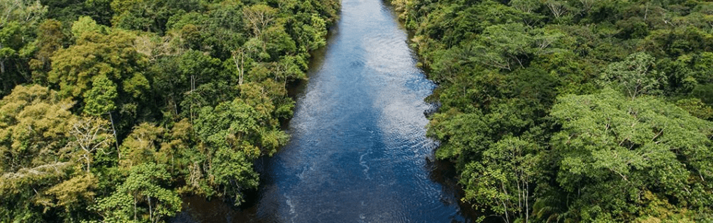 Exploring the Amazon Rainforest in Luxury: A Guide to Aqua Expeditions` Peruvian Amazon Cruises on the Aqua Nera and Aria Amazon