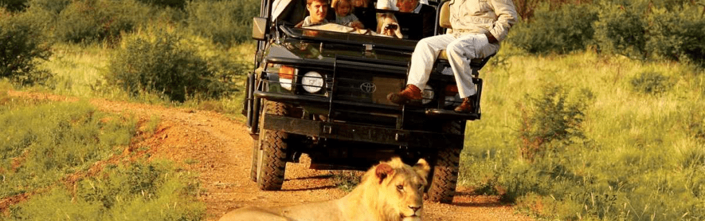 Exploring the Best of Africa: A Review of African Travel`s Safari Adventures