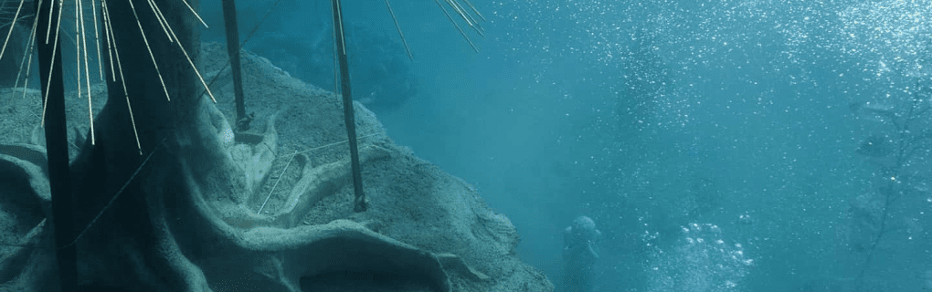 Exploring the Depths: A Closer Look at Seabourn`s Expedition Ships and Submarine Excursions