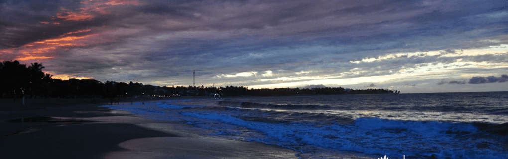 Exploring the Dominican Republic: Top Destinations and Excursions with Funjet Vacations