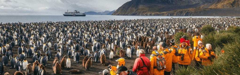 Exploring the Polar Regions: Inside Quark Expeditions` Innovative Itineraries and Adventure Activities