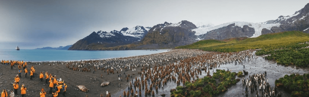 Exploring the Polar Regions with Quark Expeditions: A Guide to Their Innovative Itineraries and Unique Expeditions